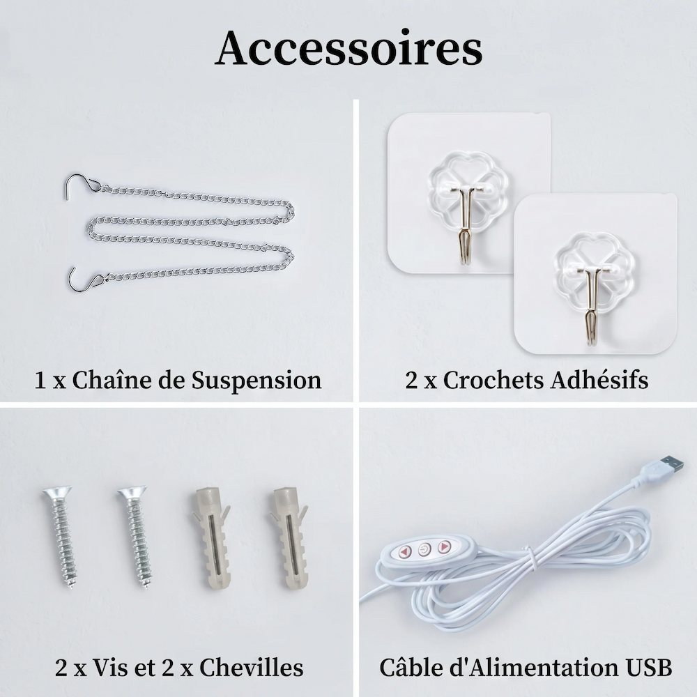 Accessoires inclus avec les néons dealdex