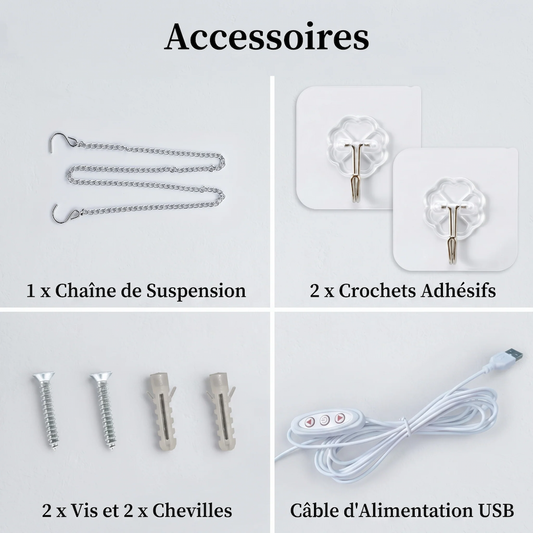 Accessoires inclus avec les néons dealdex