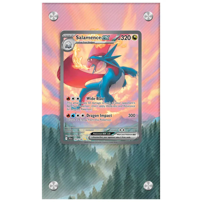 Dealdex Présentoir acrylique carte Pokémon – Drattak