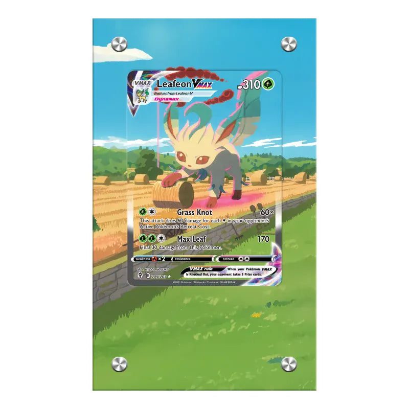 Dealdex Présentoir acrylique carte Pokémon – Phyllali - VMAX