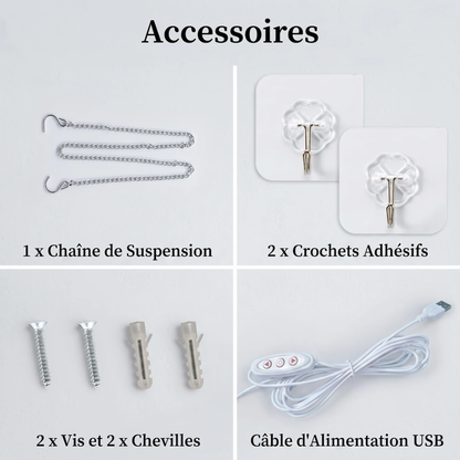 Accessoires inclus avec les néons dealdex