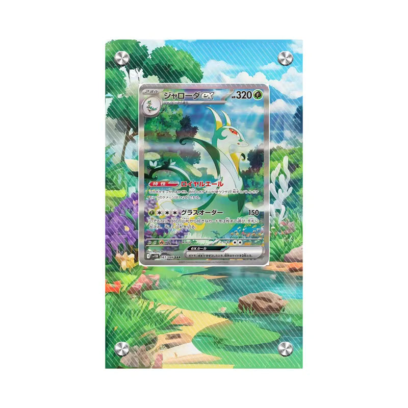 Dealdex Présentoir acrylique carte Pokémon – Majaspic