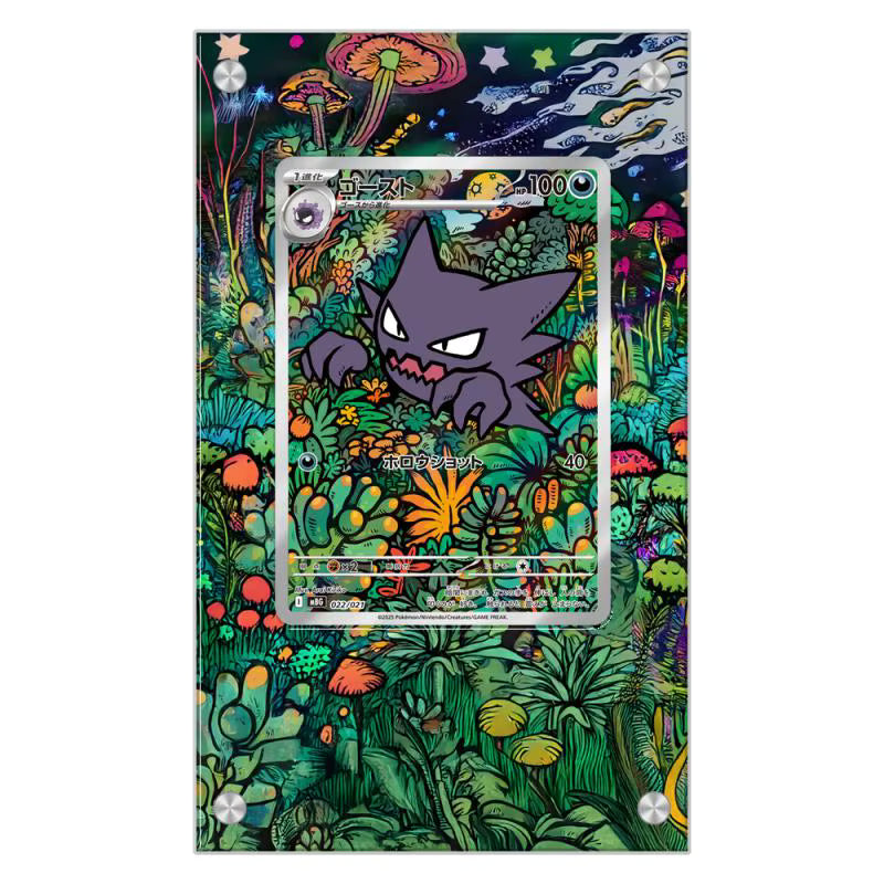 Dealdex Présentoir acrylique carte Pokémon – Spectrum