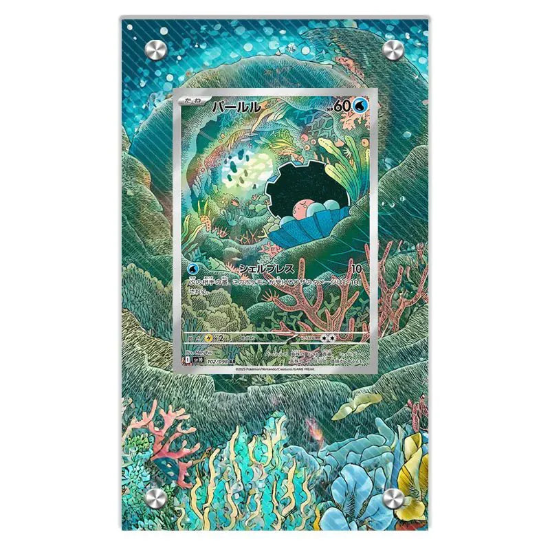 Dealdex Présentoir acrylique carte Pokémon – Coquiperl