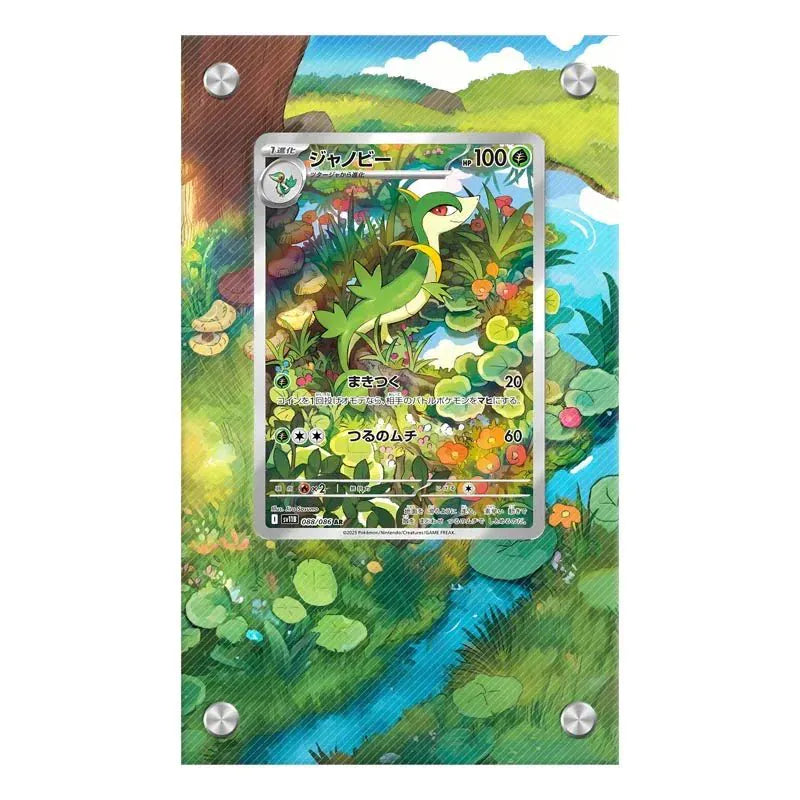 Dealdex Présentoir acrylique carte Pokémon – Servine